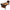 Bank Shot 7ft Shuffleboard Table by Champion Shuffleboards