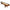 Gentry Shuffleboard Table by Champion Shuffleboards