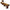 Venetian Shuffleboard Table by Champion Shuffleboards