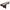 Playcraft Georgetown Shuffleboard Table